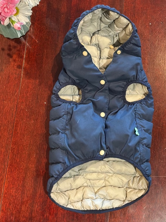 Fuzzyard Other - Light Dog Puffer Coat in Blue with Hood Snap Closure